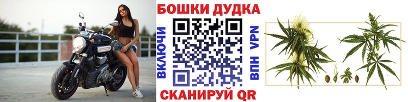 Купить закладку Псилоцибиновые грибы  АМФЕТАМИН  Меф  СК  Метамфетамин  COCAIN  ГАШИШ  Марихуана  Светогорск