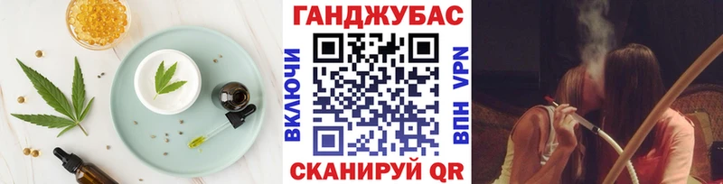 Купить закладки  Светогорск  Cannafood конопля 