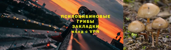 PSILOCYBIN Елизово