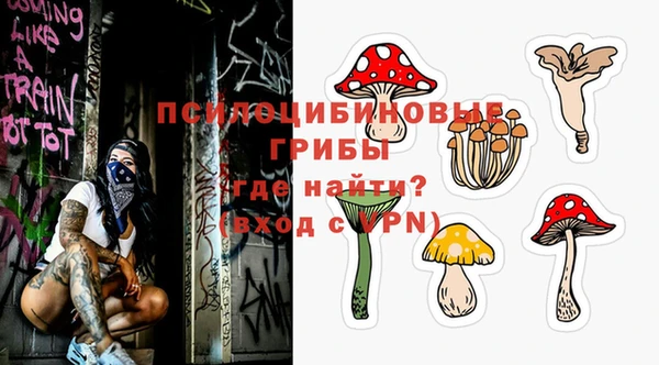 прущая мука Ельня
