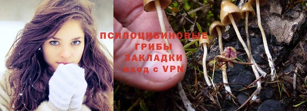 PSILOCYBIN Елизово