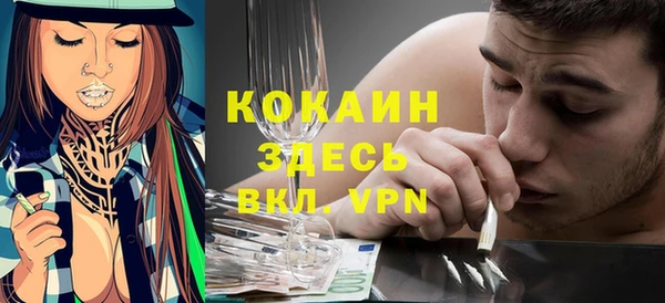 прущая мука Ельня