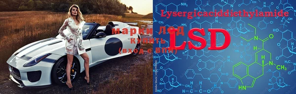 PSILOCYBIN Елизово