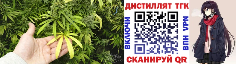 Купить закладки  Светогорск  Дистиллят ТГК Wax 