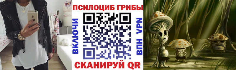 Псилоцибиновые грибы Psilocybe  Купить где  Светогорск 